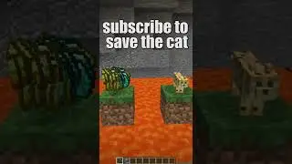 Save The Cat 🥶😭 #shorts #minecraft #cat