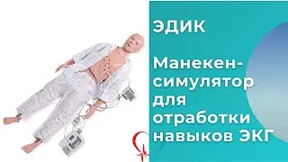 Обзор манекена-симулятора для отработки навыков ЭКГ ЭДИК