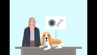 Combining a Virus and Immunotherapy to Treat Cancer in Dogs