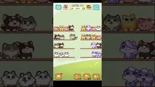 🏅CAT SORT PUZZLE🎧LVL 74🐈 Gameplay Walkthrough 🎮 