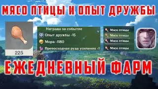 ФАРМ ОПЫТА ДРУЖБЫ И МЯСО ПТИЦЫ [Genshin Impact 2.1]
