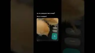 Коллеги, давайте сделаем вид, что не было