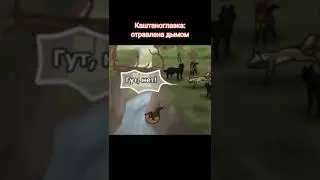 все смерти из хв(хранители волков)