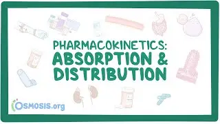 Pharmacokinetics: Drug absorption and distribution