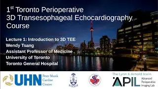 1 Tsang - 2019 - Introduction to 3D TEE. Toronto Perioperative 3D TEE Course 2019