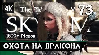 SKYRIM - Прохождение с Модами (1600+ Модов) ▷ Часть 73: Охота на Дракона | Скайрим Сборка Модов 2023