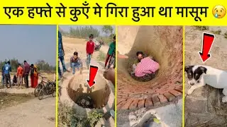 एक हफ्ते से कुएँ मे गिरा हुआ था ये मासूम | we rescue a dog from deep well