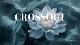 CROSSOUT CW TOP 1