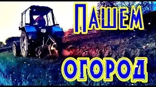 Трактор БЕЛАРУС 920 пашет огород по люцерне МТЗ Сельский тракторист 