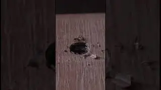 Биты RAGE 