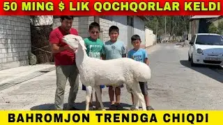 BAHROMJON QOZI OPKELISH BOYICHA REKORD QOYDI QOYIL