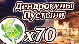 Все Дендрокулы Пустыни Сумеру. Маршрут Фарма Дендрокулов. Где найти все Дендрокулы в Пуситыне Геншин