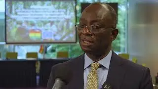 Pioneering progress: Ghana's journey with FLEGT VPA