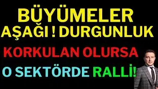 Büyümeler Aşağı ! Korkulan Olursa Bu Sektör Ralli Yapacak, Borsa, Dolar