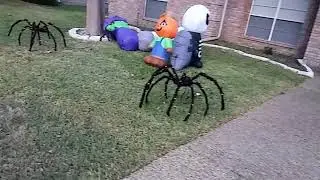 Halloween decorations. Spiders.