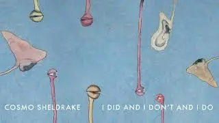 Cosmo Sheldrake - I Did And I Don’t And I Do