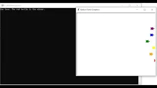 Turtle Race Bet Game in Python with source code | Source Code & Projects
