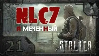 Прохождение NLC 7: 
