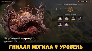 Гнилая могила (жаба) 9 уровня на старте 3 сезона! Гайд. Dragonheir: Silent Gods