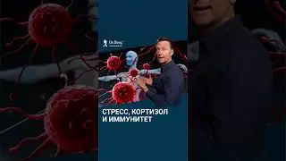 Высокий кортизол отключает иммунитет. Болезни от стресса