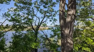 Завораживающая красота природы | Река Ея.