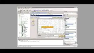 BEx Characteristics and Hierarchies in Queries 1