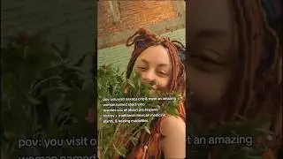 Medicine Experience in Mexico