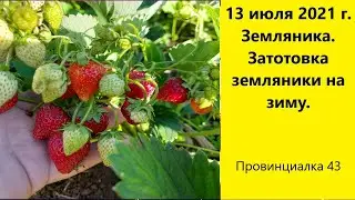 13 июля 2021 г. Земляника. Заготовка земляники на зиму. Часть1.
