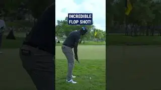 TEXTBOOK flop shot! 😍