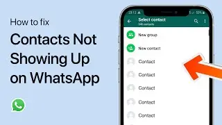 How To Fix Contacts Not Showing Up on WhatsApp