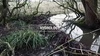 Spains Hall beaver monitoring - hydrology