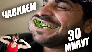 ЗВУК ЧАВКАНЬЯ !!! 30 минут улетного веселья !!! ОМЕРЗИТЕЛЬНО !!!