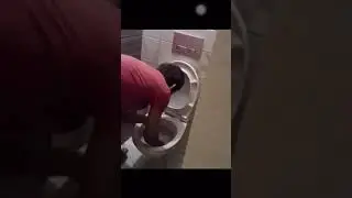 Умывает лицо из унитаза)))))