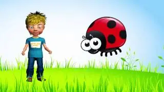 Recognition of Beetles, Discover Insects