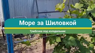 9 июня 2023 г. // Море за Шиловкой // Тумбочка под холодильник