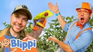 Blippi Explores the Forest with Brave Wilderness! | Educational Videos for Kids