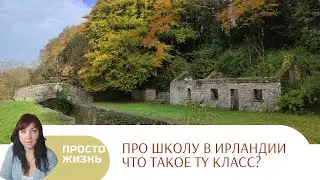 TY класс что это и надо ли? прогулка по парку