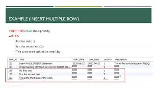 DML Queries