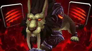 Feral Druids Are Tearing EVERYONE To Shreds! (5v5 1v1 Duels) - PvP WoW: The War Within Beta