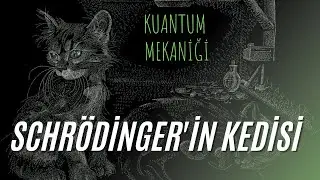 Schrödinger'in Kedisi Deneyi Nedir?