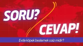 SORU?/CEVAP! | Evde köpek beslemek caiz midir?