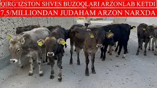 ABDULLO QIRG’IZSTON SHVES BUZOQLARINI TEKIN QIVORDIYU 7,5/MILLIONDAN JUDAHAM ARZON NARXDA
