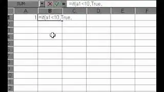 Microsoft Office Excel 2000 IF function