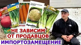 Как собрать свои семена с двулетних растений