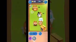 Играю в эволюцию котов