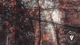 Martius Ali x Carlskee - Nostalgia