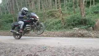 wheelie on pulser 220f