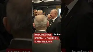 Лидеры Азербайджана, Турции и Армении побеседовали в кулуарах саммита ЕПС в Тиране
