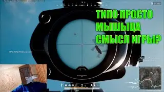 В чем смысл PUBG в 2024