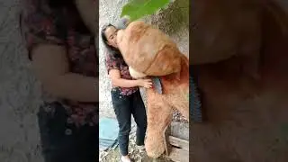 pengen punya anak lagi 